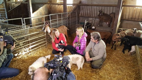 Tournage des Animaux de la 8 au Hogan des Vents - Elodie, Sandrine et Mathieu dans la bergerie